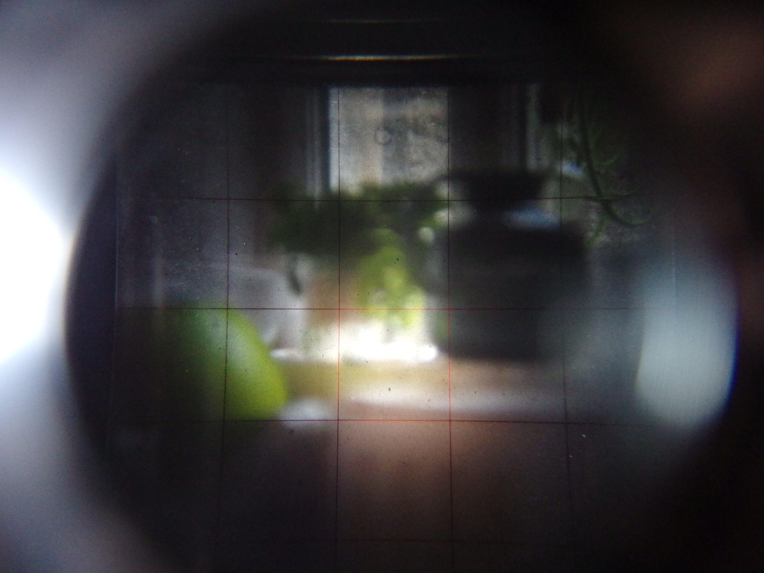 Seagull 4B, le TLR venu de Chine – Image 6